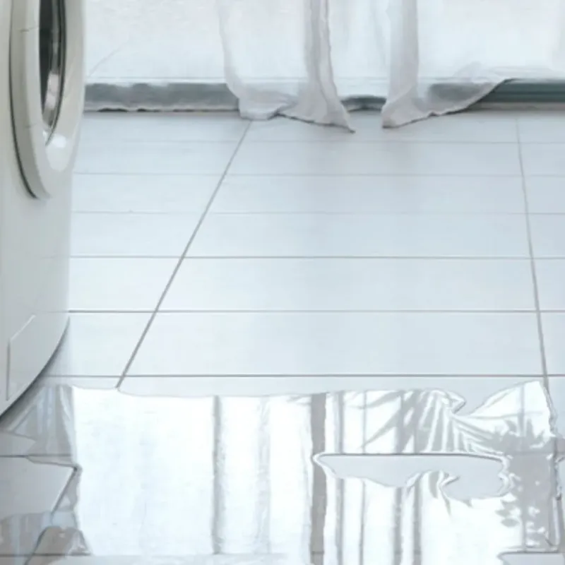 Appliance Leak Cleanup in Washington County, MO